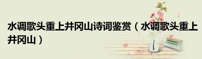 水調(diào)歌頭重上井岡山詩(shī)詞鑒賞（水調(diào)歌頭重上井岡山）