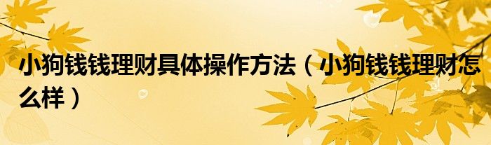 小狗錢錢理財(cái)具體操作方法(小狗錢錢理財(cái)怎么樣)