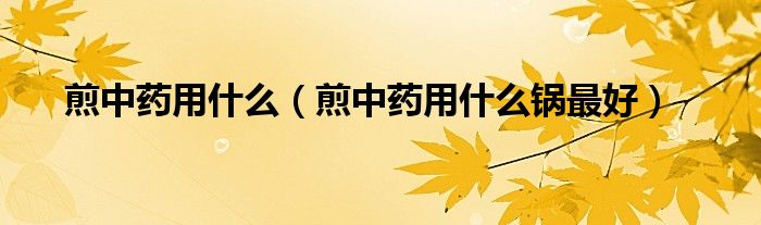 煎中藥用什么（煎中藥用什么鍋?zhàn)詈茫?class='thumb lazy' /></a>
		    <header>
		<h2><a  href=