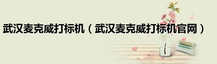 武漢麥克威打標(biāo)機(jī)（武漢麥克威打標(biāo)機(jī)官網(wǎng)）