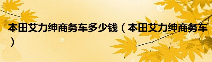 本田艾力紳商務車多少錢（本田艾力紳商務車）