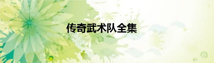 傳奇武術(shù)隊全集