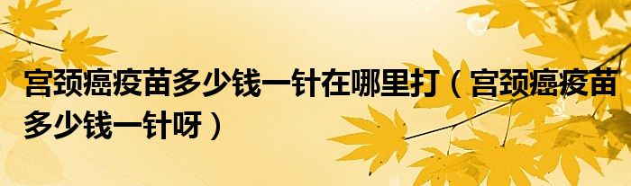 宮頸癌疫苗多少錢(qián)一針在哪里打（宮頸癌疫苗多少錢(qián)一針呀）