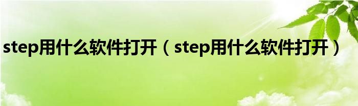 step用什么軟件打開（step用什么軟件打開）