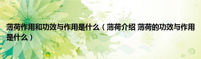 薄荷作用和功效與作用是什么（薄荷介紹 薄荷的功效與作用是什么）