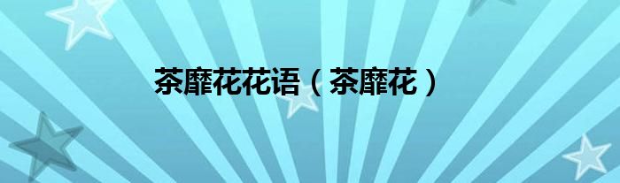 茶靡花花語（茶靡花）