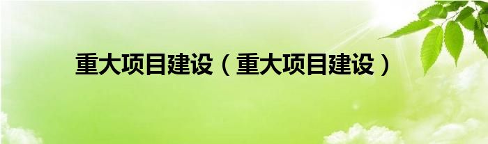 重大項目建設(shè)（重大項目建設(shè)）