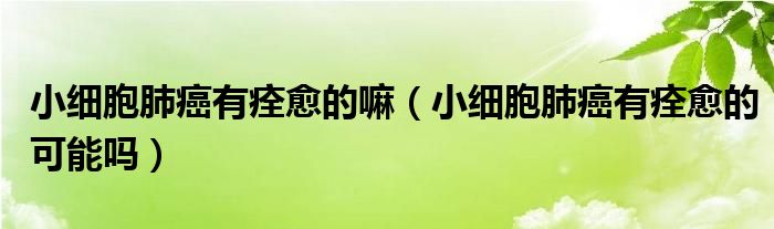 小細(xì)胞肺癌有痊愈的嘛（小細(xì)胞肺癌有痊愈的可能嗎）