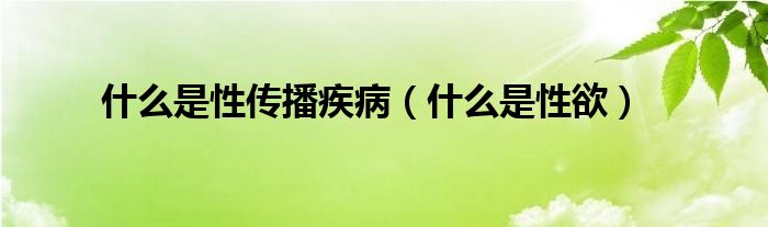 什么是性傳播疾?。ㄊ裁词切杂?class='thumb lazy' /></a>
		    <header>
		<h2><a  href=