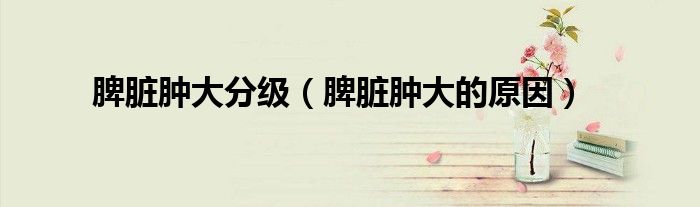 脾臟腫大分級(jí)（脾臟腫大的原因）