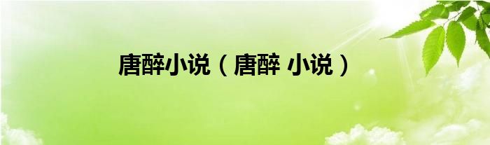唐醉小說（唐醉 小說）