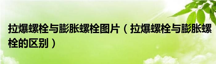 拉爆螺栓與膨脹螺栓圖片（拉爆螺栓與膨脹螺栓的區(qū)別）