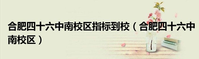 合肥四十六中南校區(qū)指標(biāo)到校（合肥四十六中南校區(qū)）