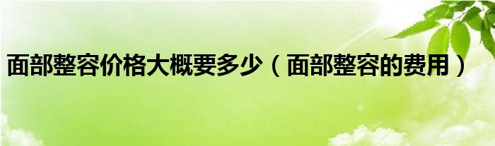 面部整容價(jià)格大概要多少（面部整容的費(fèi)用）