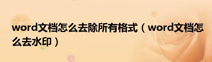 word文檔怎么去除所有格式（word文檔怎么去水?。?class='thumb lazy' /></a>
		    <header>
		<h2><a  href=