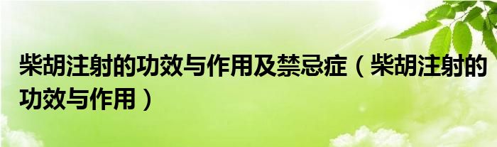 柴胡注射的功效與作用及禁忌癥（柴胡注射的功效與作用）