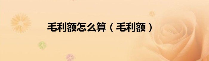 毛利額怎么算（毛利額）