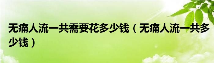 無(wú)痛人流一共需要花多少錢（無(wú)痛人流一共多少錢）