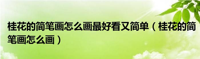 桂花的簡(jiǎn)筆畫怎么畫最好看又簡(jiǎn)單（桂花的簡(jiǎn)筆畫怎么畫）