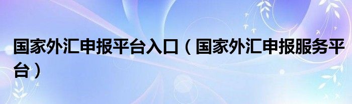 國家外匯申報平臺入口（國家外匯申報服務(wù)平臺）
