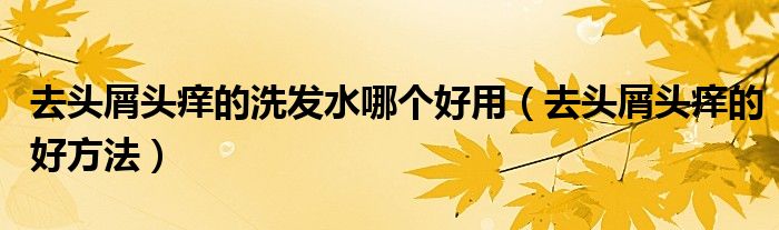 去頭屑頭癢的洗發(fā)水哪個(gè)好用（去頭屑頭癢的好方法）