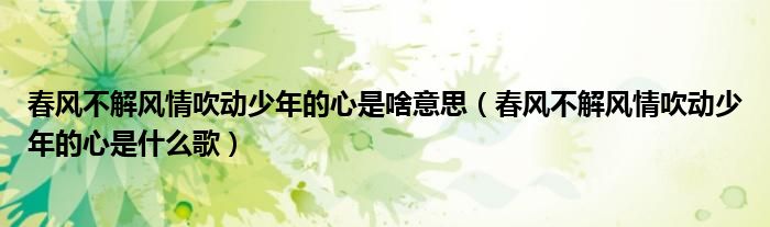 春風不解風情吹動少年的心是啥意思（春風不解風情吹動少年的心是什么歌）