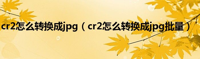 cr2怎么轉(zhuǎn)換成jpg（cr2怎么轉(zhuǎn)換成jpg批量）