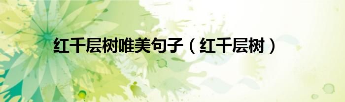 紅千層樹唯美句子（紅千層樹）
