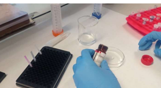 一項新的測試可快速輕松地檢測唾液和飲料中的東莨菪堿和 MDPV