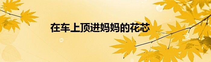 在車上頂進媽媽的花芯