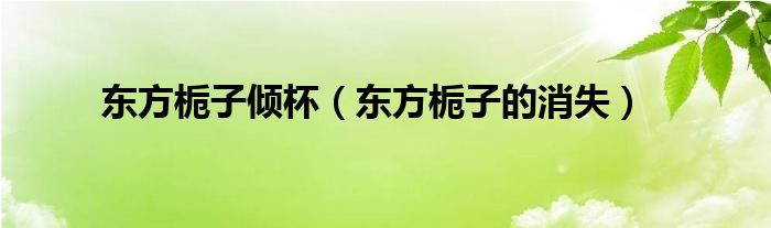 東方梔子傾杯（東方梔子的消失）