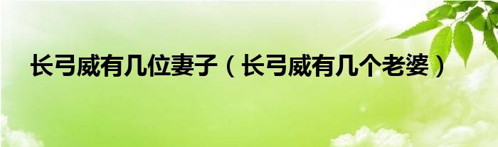 長(zhǎng)弓威有幾位妻子（長(zhǎng)弓威有幾個(gè)老婆）