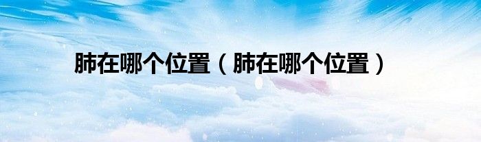 肺在哪個位置（肺在哪個位置）