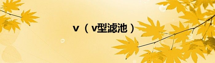 ｖ（v型濾池）