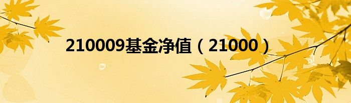 210009基金凈值（21000）