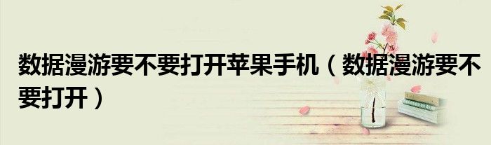 數(shù)據(jù)漫游要不要打開蘋果手機(jī)（數(shù)據(jù)漫游要不要打開）
