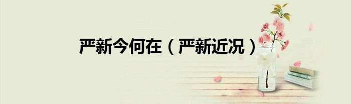 嚴(yán)新今何在（嚴(yán)新近況）