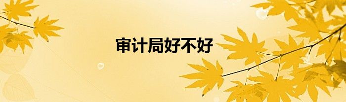 審計(jì)局好不好