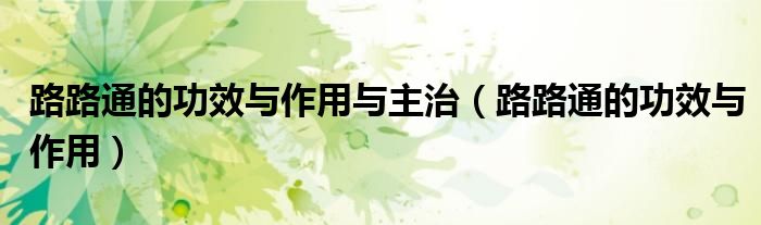 路路通的功效與作用與主治（路路通的功效與作用）