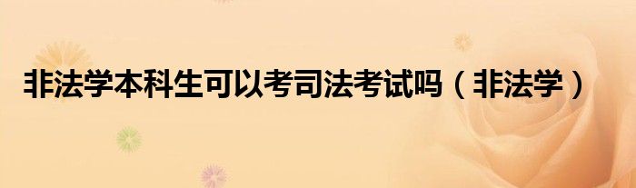 非法學(xué)本科生可以考司法考試嗎（非法學(xué)）