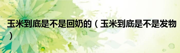 玉米到底是不是回奶的（玉米到底是不是發(fā)物）