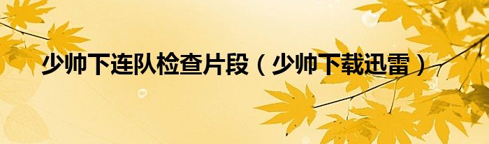 少帥下連隊(duì)檢查片段（少帥下載迅雷）
