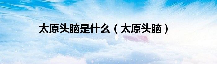 太原頭腦是什么（太原頭腦）
