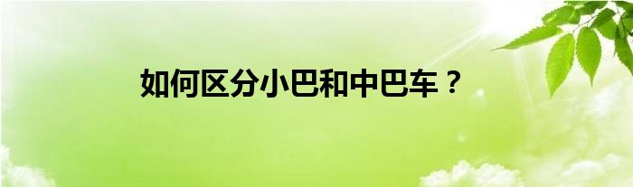 如何區(qū)分小巴和中巴車？