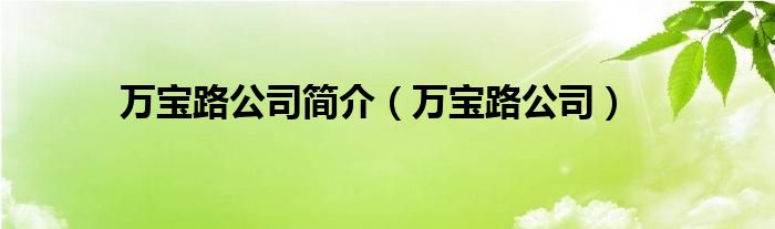 萬寶路公司簡介（萬寶路公司）