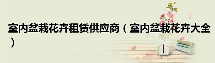 室內(nèi)盆栽花卉租賃供應(yīng)商（室內(nèi)盆栽花卉大全）