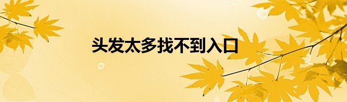 頭發(fā)太多找不到入口