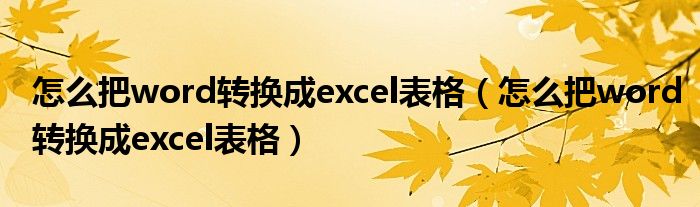 怎么把word轉(zhuǎn)換成excel表格（怎么把word轉(zhuǎn)換成excel表格）