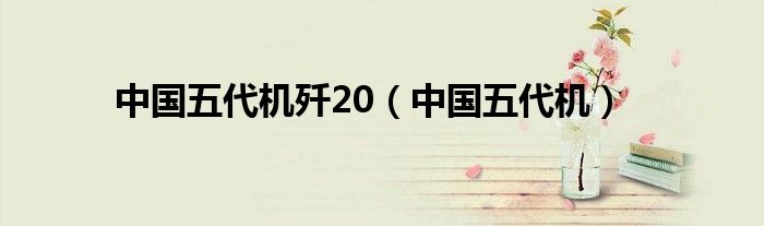 中國(guó)五代機(jī)殲20（中國(guó)五代機(jī)）