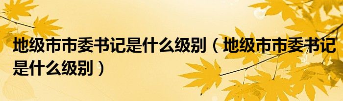 地級(jí)市市委書記是什么級(jí)別（地級(jí)市市委書記是什么級(jí)別）